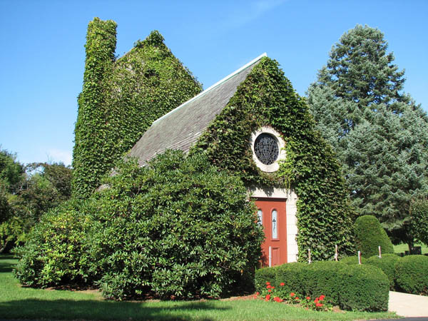 Ivy covered chapel with trees